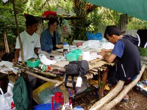 Fieldwork in the Philippines