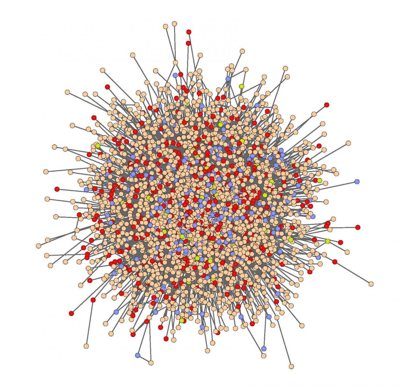 Molecular Network of an Ovarian Cancer Cell