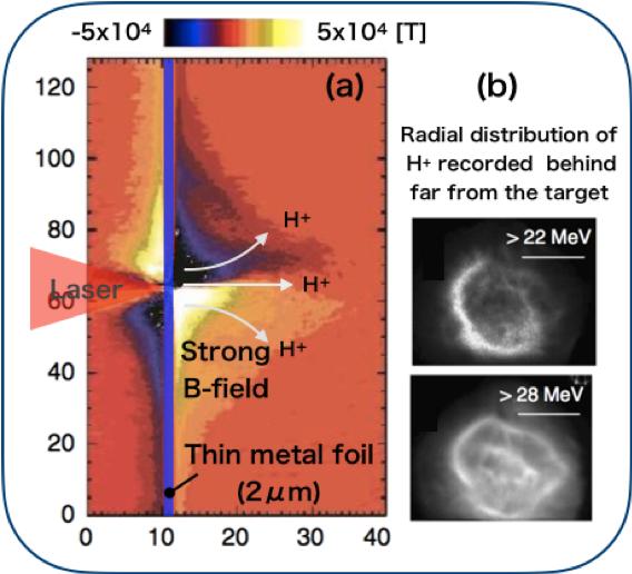 Fig.1 Quasistatic Magnetic Fields