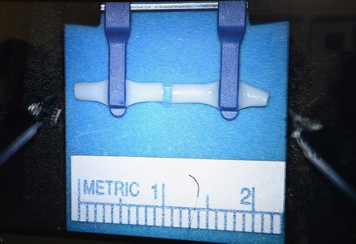 Microsurgery