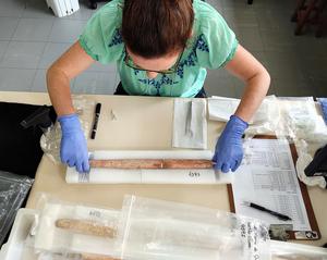 Krista McGrath in the lab