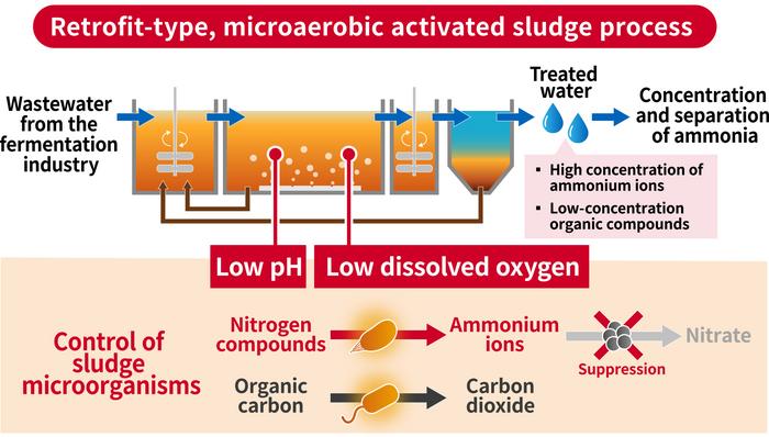 Overview of Equipment and Strategies for Controlling the Microbial Community in a Microaerobic Activated Sludge Process. The above diagram shows the process flow. The blue arrows indicate the flow of water, and the brown arrows indicate the flow of sludge