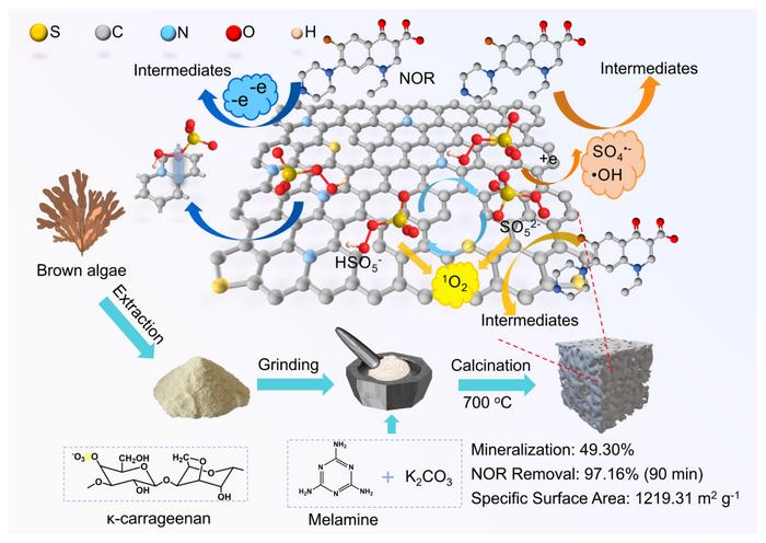 κ-carrageenan-derived N-, S-codoped porous carbon promotes peroxymonosulfate activation for norfloxacin degradation