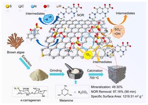 κ-carrageenan-derived N-, S-codoped porous carbon promotes peroxymonosulfate activation for norfloxacin degradation