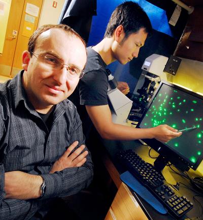 Kostas Konstantinidis and Chengwei Luo, Georgia Institute of Technology