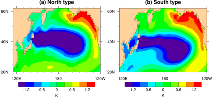 North Pacific SST anomalies