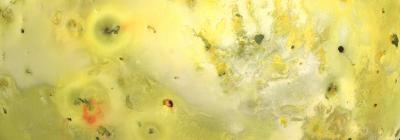 Map of Io