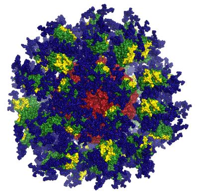Protein Nanoparticle eOD-GT8 60mer