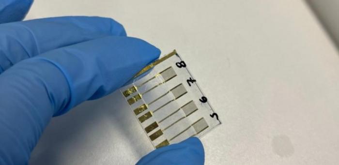 Biosensor identifies pancreatic cancer in early stages