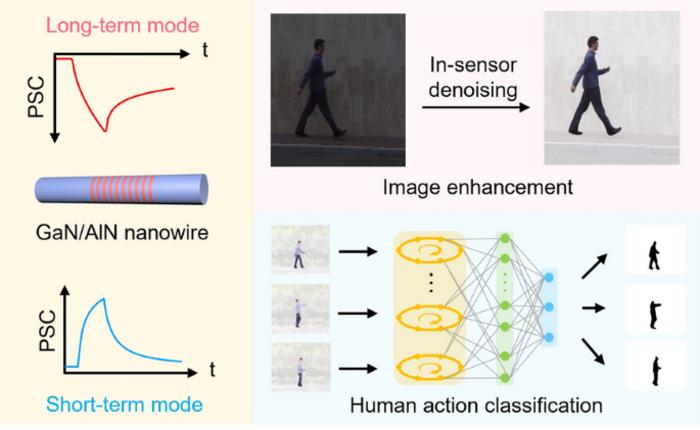 Ultrathin Gallium Nitride Quantum‑Disk‑in‑Nanowire‑Enabled Reconfigurable Bioinspired Sensor for High‑Accuracy Human Action Recognition