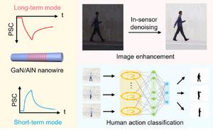 Ultrathin Gallium Nitride Quantum‑Disk‑in‑Nanowire‑Enabled Reconfigurable Bioinspired Sensor for High‑Accuracy Human Action Recognition
