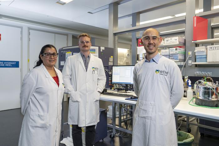 Research team