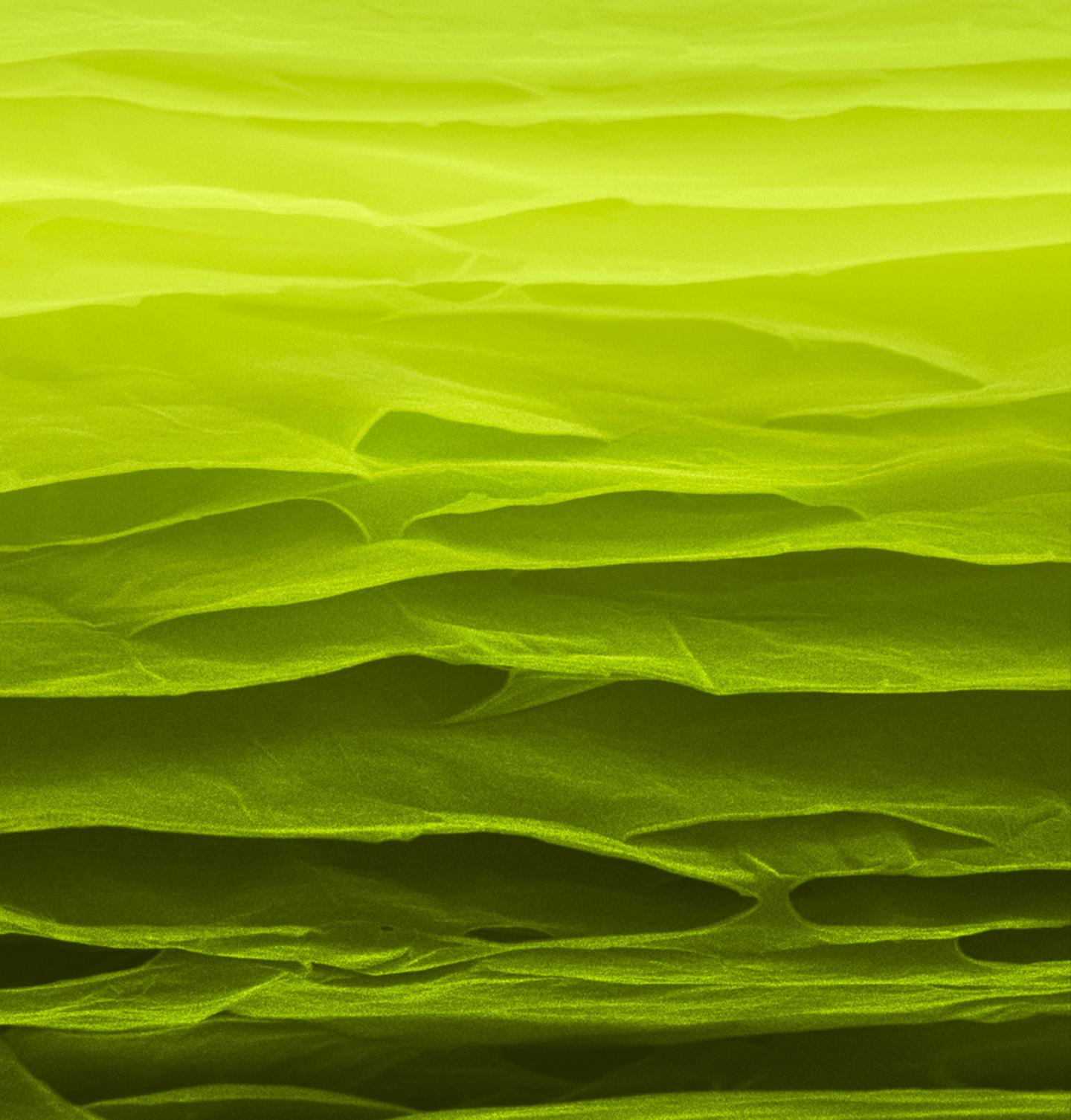 Scientists Make Strong, Super-tough Carbon Sheets at Low Temperature