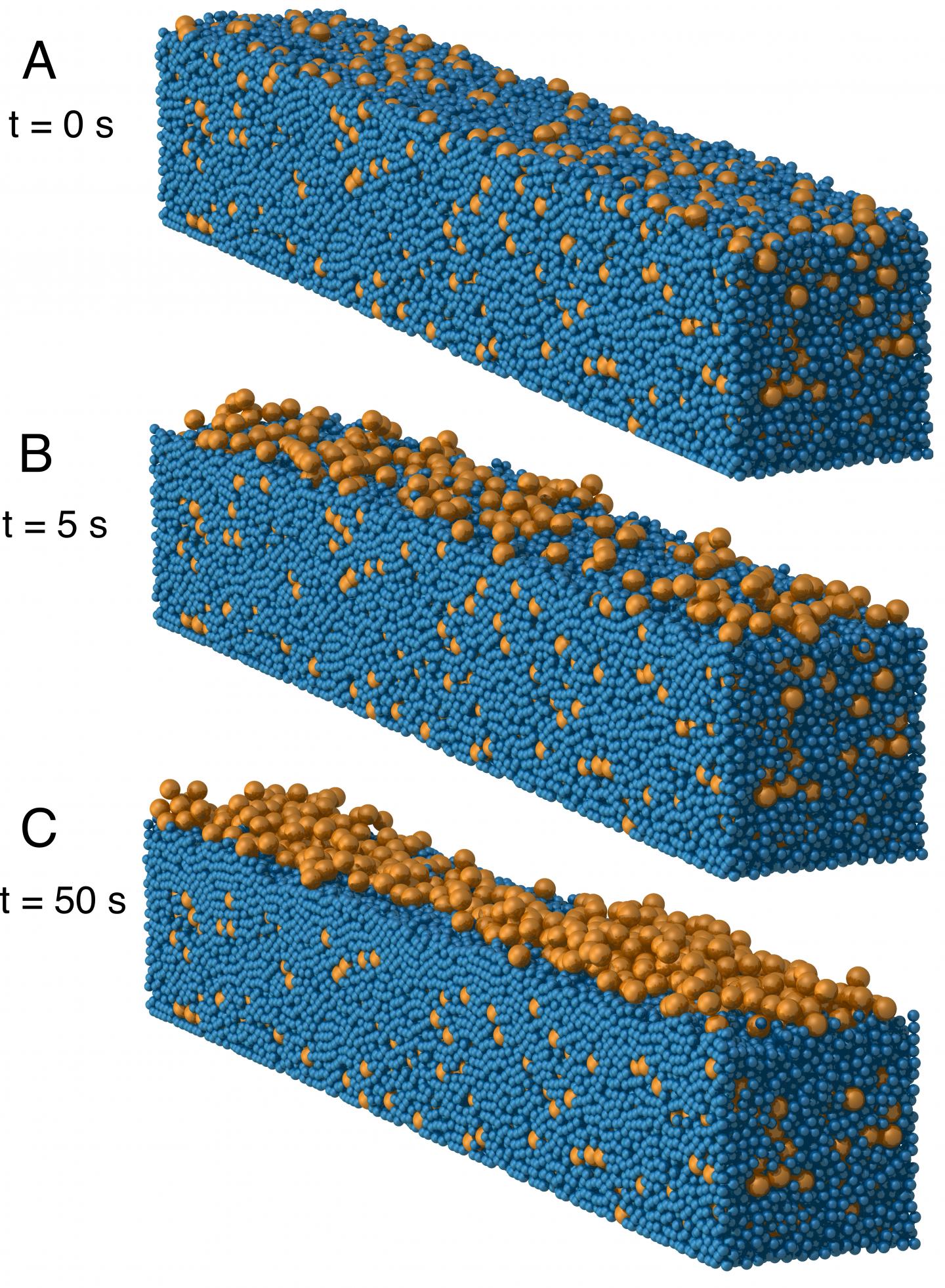 Particle Sorting