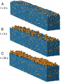 Particle Sorting