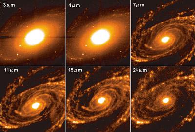 Akari's Views of Galaxy M81