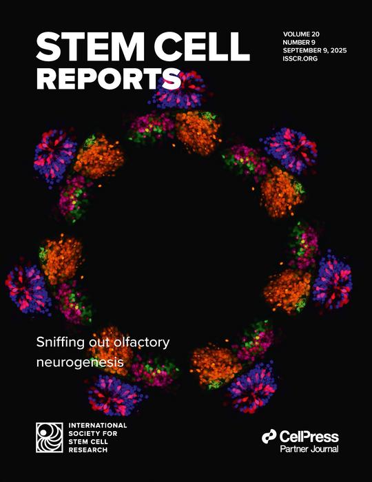 Stem Cell Reports Named Official Conference Journal for “Latest Advances in Stem Cell-Based Disease Modelling and Drug Screening”