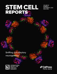 Stem Cell Reports Named Official Conference Journal for “Latest Advances in Stem Cell-Based Disease Modelling and Drug Screening”