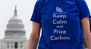 Keep calm and price carbon