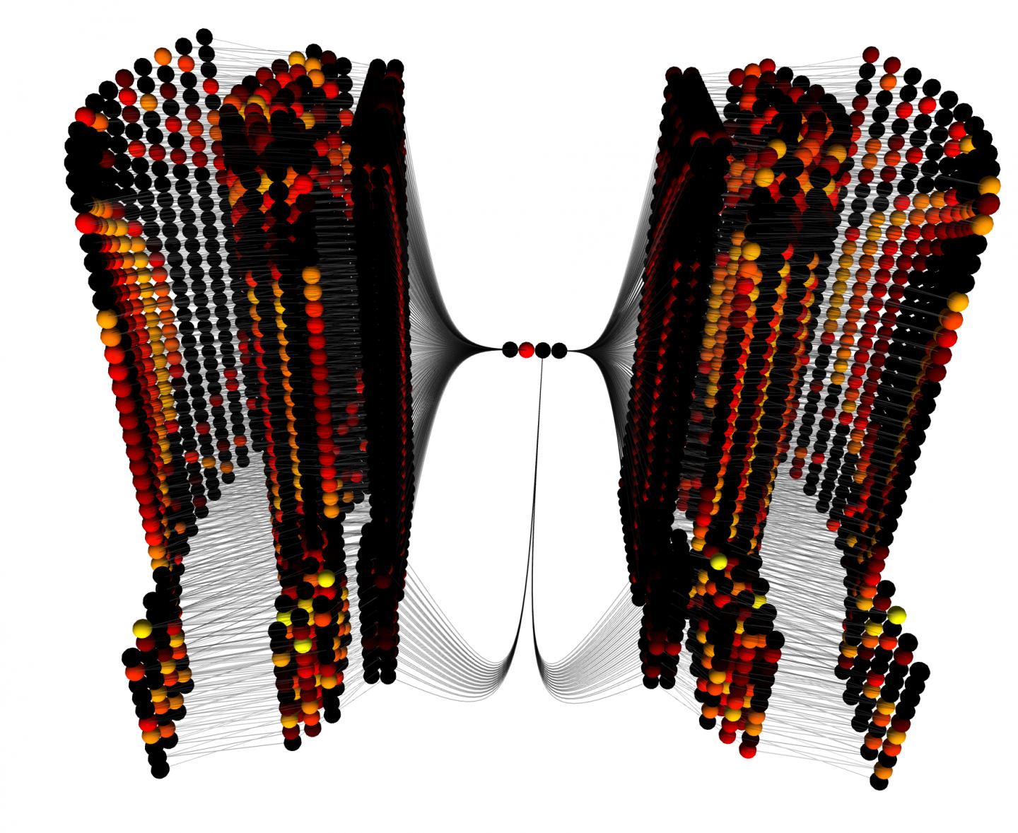 Bee Model Visualization