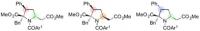 Proline derivatives synthesized from the 1,6-adducts