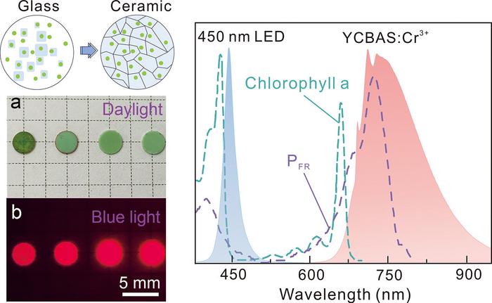 Synthesis, Optical Properties and Potential Applications of YCBAS:Cr3+ Luminescent Ceramics