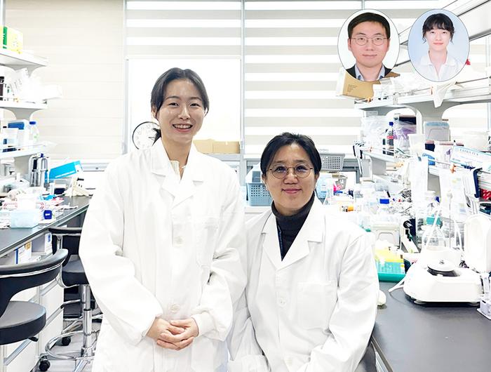 Depression is Not Only a Disease of the Mind. KAIST Discovers the Immune-Brain Connection​