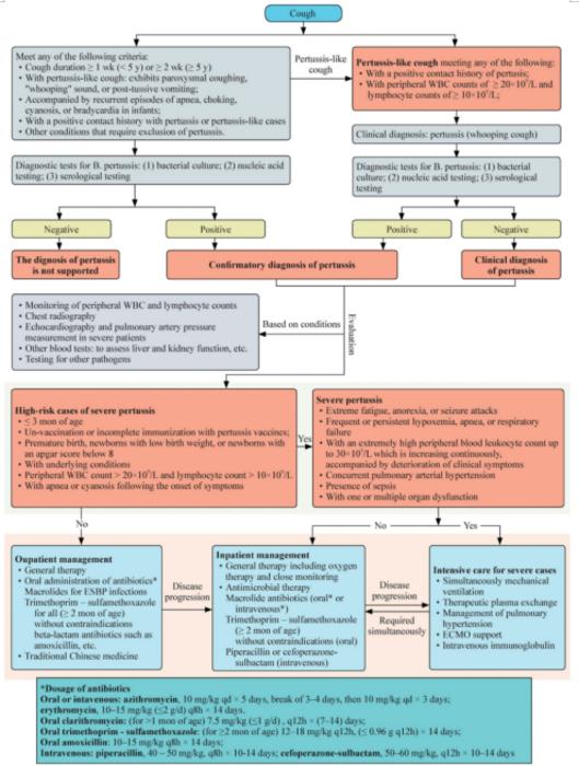 The diagnosis and treatment flow diagram for children with whooping cough.