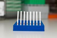 SHERLOCK Paper Test Strips
