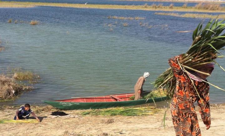 Marsh Woman