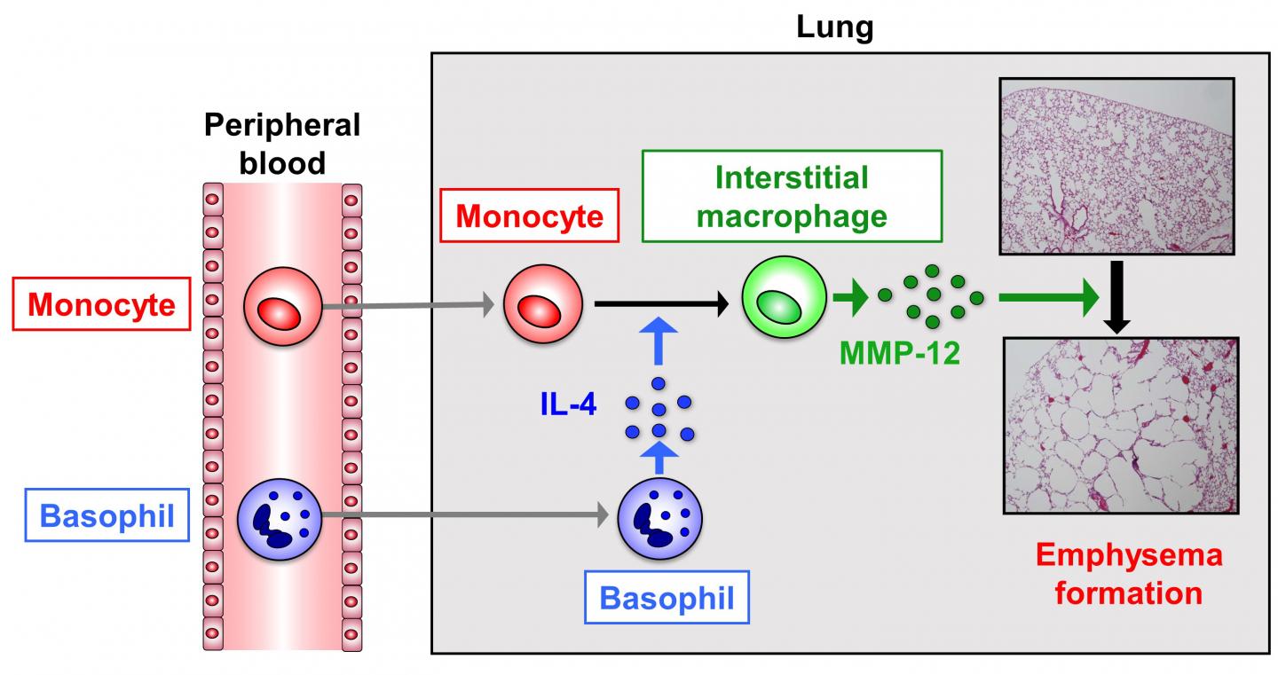 Figure2