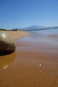 Discovery of Sunlight-Driven Organic Chemistry on Water Surfaces (2 of 3)