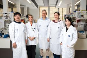 Professor Kirill Alexandrov and team