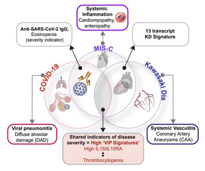 COVID-19, MIS-C and KD graphic, University of California San Diego