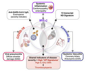 COVID-19, MIS-C and KD graphic, University of California San Diego
