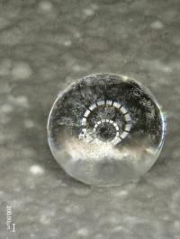 Water Drop on Water-Repellent <em>Streptomyces</em> Bacteria