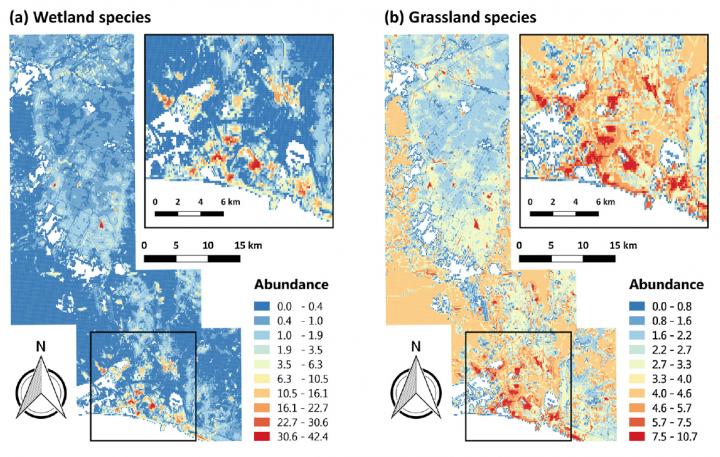 Bird Abundance Predictions