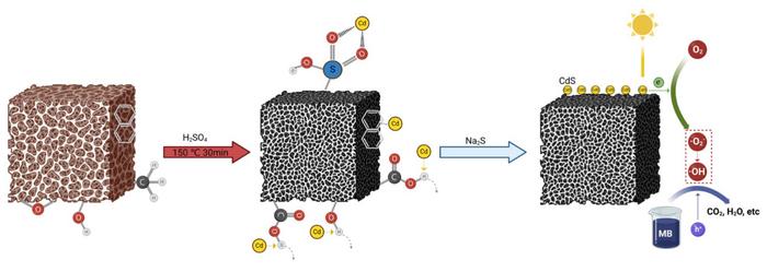 Rapid sulfonation of lignite for cadmium removal in wastewater and subsequent recycle into photocatalysts
