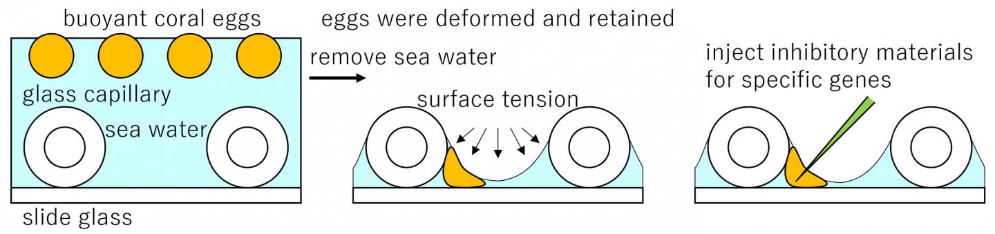 Figure 1: New Technology