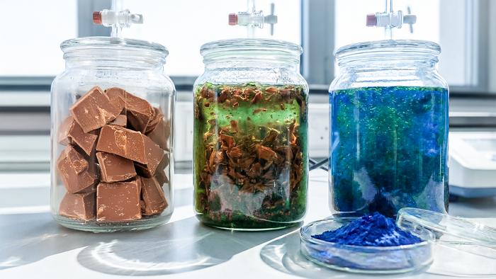 Algae and the chocolate factory