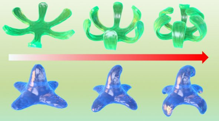 Bioprinted-cell-rich