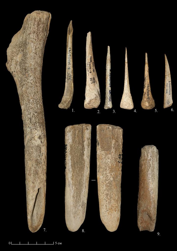 Bones