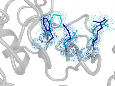 The Hidden Lives of Proteins