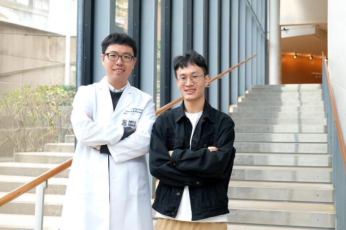 HKUMed develops a cardiovascular risk prediction tool that can accurately predict the future risk of six major cardiovascular diseases with a single blood test.