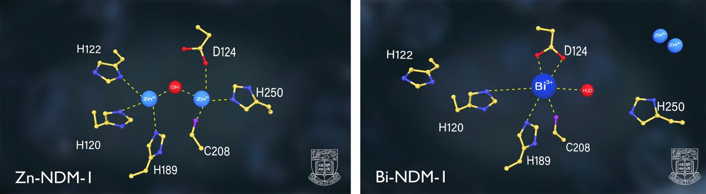 HKU Medical Chemists Discover Peptic Ulcer Treatment Metallodrug Effective In 'Taming' Superbugs
