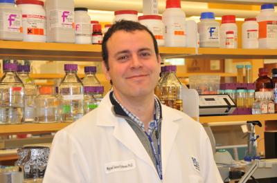 Miguel Sena-Esteves, Ph.D., University of Massachusetts Medical School