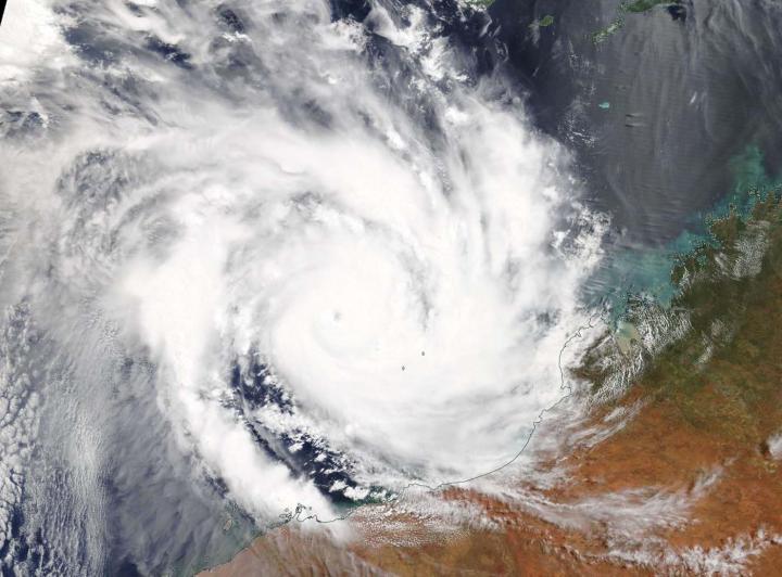 Terra Image of Veronica