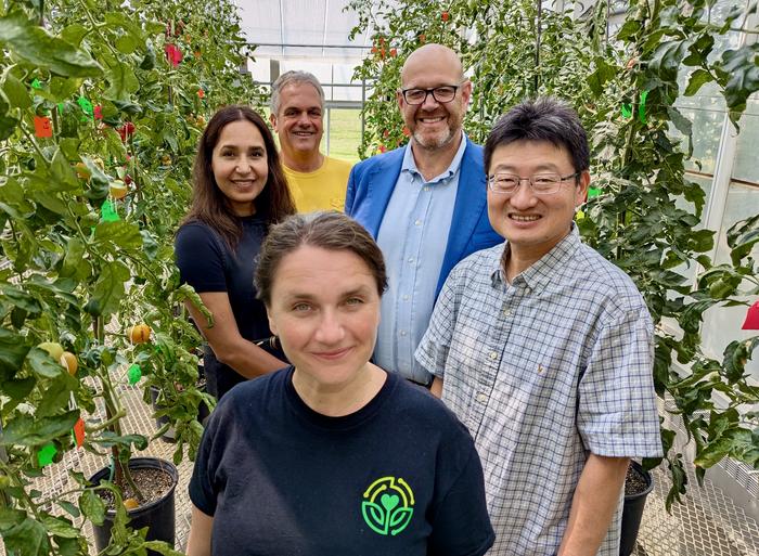 Launch of tomato genetics collaboration project