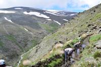 Irrigation Community