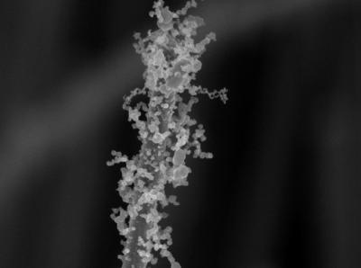 Sol-Flame Decorated Nanowire (1 of 2)